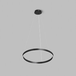 Светильник подвесной RAYDIA, 40 Вт, 3000–4000К, ?600?1500 мм, металл+акрил, черный, свет вверх/вниз, Denkirs DK6272-BK