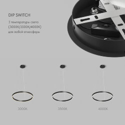 Светильник подвесной RAYDIA, 40 Вт, 3000–4000К, ?600?1500 мм, металл+акрил, черный, свет вверх/вниз, Denkirs DK6272-BK