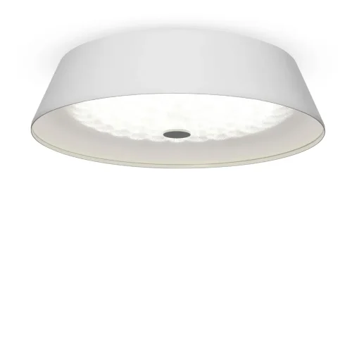 Потолочный светильник FR10013CL-L24W Элементы 24 Вт LED (Белый) FR10013CL-L24W - фото