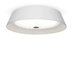 Потолочный светильник FR10013CL-L24W Элементы 24 Вт LED (Белый) FR10013CL-L24W