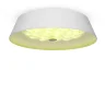 Потолочный светильник FR10013CL-L24W Элементы 24 Вт LED (Белый) FR10013CL-L24W - фото 2