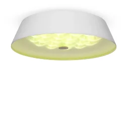 Потолочный светильник FR10013CL-L24W Элементы 24 Вт LED (Белый) FR10013CL-L24W