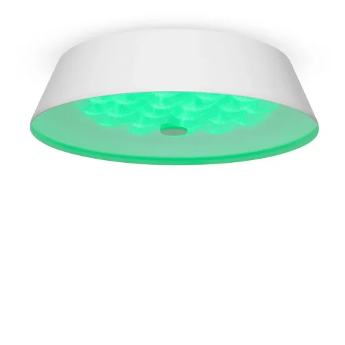 Потолочный светильник FR10013CL-L24W Элементы 24 Вт LED (Белый) FR10013CL-L24W - фото 3