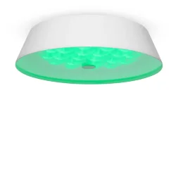 Потолочный светильник FR10013CL-L24W Элементы 24 Вт LED (Белый) FR10013CL-L24W