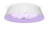 Потолочный светильник FR10013CL-L24W Элементы 24 Вт LED (Белый) FR10013CL-L24W - фото 4