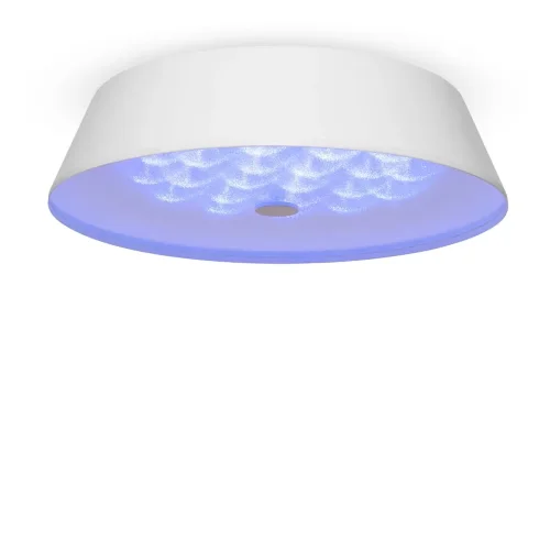 Потолочный светильник FR10013CL-L24W Элементы 24 Вт LED (Белый) FR10013CL-L24W - фото 5