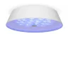 Потолочный светильник FR10013CL-L24W Элементы 24 Вт LED (Белый) FR10013CL-L24W - фото 5