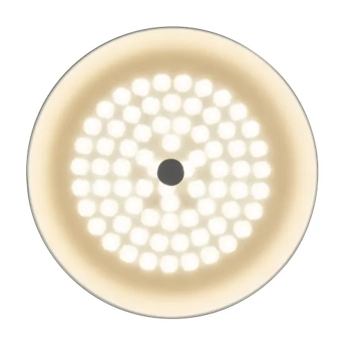Потолочный светильник FR10013CL-L24W Элементы 24 Вт LED (Белый) FR10013CL-L24W - фото 7