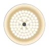 Потолочный светильник FR10013CL-L24W Элементы 24 Вт LED (Белый) FR10013CL-L24W - фото 7