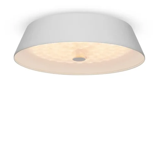 Потолочный светильник FR10013CL-L24W Элементы 24 Вт LED (Белый) FR10013CL-L24W - фото 9