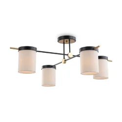 Потолочный светильник Freya FR5377CL-04B (Черный)