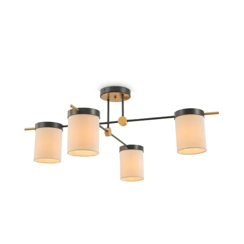 Потолочный светильник Freya FR5377CL-04B (Черный) - фото 2