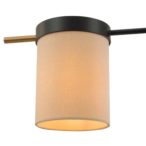 Потолочный светильник Freya FR5377CL-04B (Черный) - фото 4