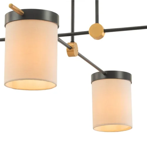 Потолочный светильник Freya FR5377CL-04B (Черный) - фото 5