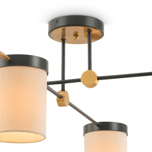 Потолочный светильник Freya FR5377CL-04B (Черный) - фото 6