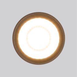 Уличный потолочный светильник Light LED 2105 IP54 35132/H черный (056231)