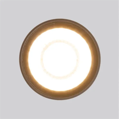 Уличный потолочный светильник Light LED 2105 IP54 35132/H черный - фото 4