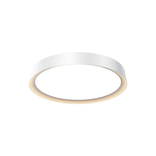 Потолочный светильник Incognito 2700-4000K 35Вт (Белый) - фото