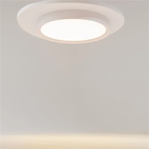 Потолочный светильник Incognito 2700-4000K 35Вт (Белый) - фото 11