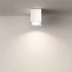 Потолочный светильник Zoom GU10 1x10Вт IP 54 (Белый)