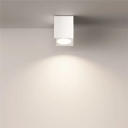 Потолочный светильник Зум / Zoom 1*GU10 10 Вт IP 54 (Белый) C030CL-01W - фото 5
