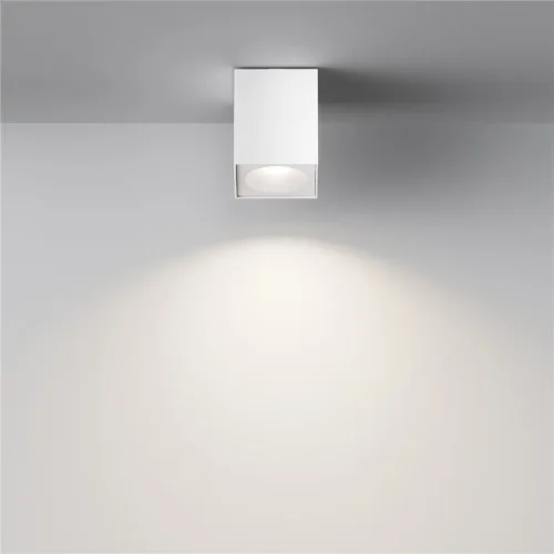 Потолочный светильник Зум / Zoom 1*GU10 10 Вт IP 54 (Белый) C030CL-01W - фото 10