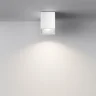 Потолочный светильник Зум / Zoom 1*GU10 10 Вт IP 54 (Белый) C030CL-01W - фото 10