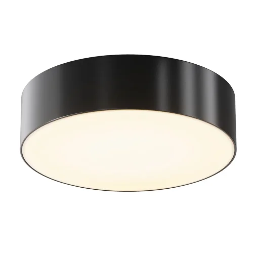 Потолочный светильник Зон / Zon IP 3000K 30Вт IP 65 (Черный) O431CL-L30B3K - фото