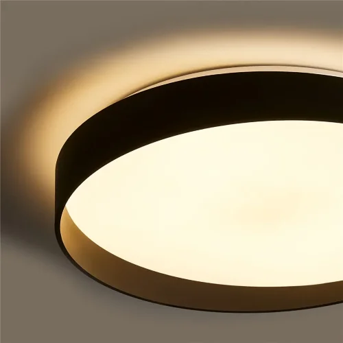 Потолочный светильник FR6222CL-L84B Пасс / Pass 84 Вт LED с пультом ДУ (Черный) FR6222CL-L84B - фото 12