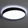 Потолочный светильник FR6222CL-L84B Пасс / Pass 84 Вт LED с пультом ДУ (Черный) FR6222CL-L84B - фото 14