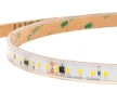 Лента светодиодная ELFLED 120SMD диодов (2835), 220В, IP67, 1м, белый 6500-7000К - фото 2