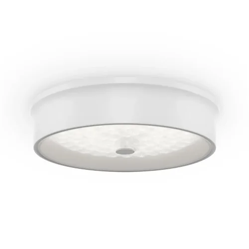 Потолочный светильник FR10011CL-L24W Элементы 24 Вт LED (Белый) FR10011CL-L24W - фото