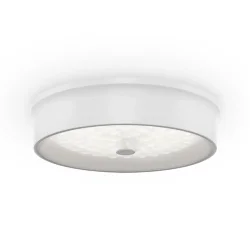 Потолочный светильник FR10011CL-L24W Элементы 24 Вт LED (Белый) FR10011CL-L24W