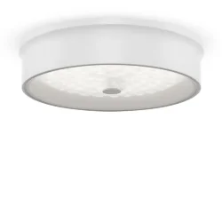 Потолочный светильник FR10011CL-L24W Элементы 24 Вт LED (Белый) FR10011CL-L24W
