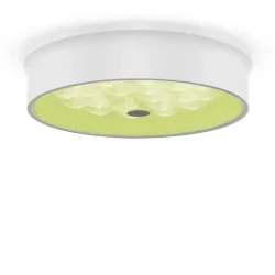 Потолочный светильник FR10011CL-L24W Элементы 24 Вт LED (Белый) FR10011CL-L24W
