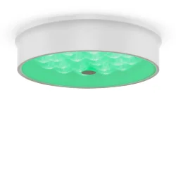 Потолочный светильник FR10011CL-L24W Элементы 24 Вт LED (Белый) FR10011CL-L24W