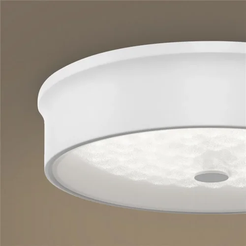 Потолочный светильник FR10011CL-L24W Элементы 24 Вт LED (Белый) FR10011CL-L24W - фото 19