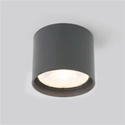Уличный потолочный светильник Light LED 2105 IP54 35132/H серый (056271)