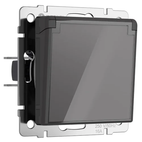 Розетка влагозащ. с зазем. с защит. крышкой и шторками (графит акрил) W1171244 - фото