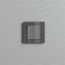 Розетка влагозащ. с зазем. с защит. крышкой и шторками (графит акрил) W1171244