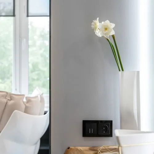 Рамка из стекла на 2 поста Favorit черный W0021108 - фото 4