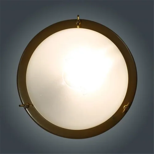 Светильник НББ 03-60-003 'Терма 3' 1х60Вт E27 IP65 корпус золото (инд. упак.) Элетех 1005500585 - фото 5