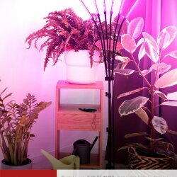 Светильник напольный на треноге светодиодный ТНО-Т2-ФИТО красно-синий 6Т60 60Вт 6 плафонов, пульт на шнуре IN HOME