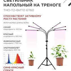 Светильник напольный на треноге светодиодный ТНО-Т2-ФИТО красно-синий 6Т60 60Вт 6 плафонов, пульт на шнуре IN HOME