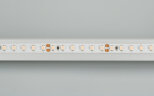 Светодиодная лента RT 2-5000 24V White6000 2x (3528, 600 LED, LUX) (Arlight, 9.6 Вт/м, IP20) - фото 3