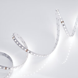 Светодиодная лента RT 2-5000 24V White6000 2x (3528, 600 LED, LUX) (Arlight, 9.6 Вт/м, IP20)