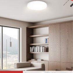 Светильник светодиодный NEO SIMPLE-5565-WH 55Вт 230В 6500K 4400Лм 375x60мм белый IN HOME