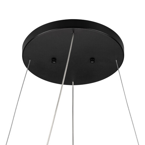 Потолочная чаша SL-CANOPY-D250 (BK) (Arlight, Металл) - фото 1