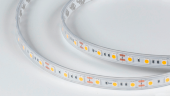 Светодиодная лента 14.4Вт 12В IP65 теплое свечение белое, DSG560-12-WW-65. Фото 2