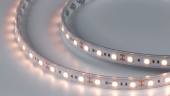 Светодиодная лента 14.4Вт 12В IP65 теплое свечение белое, DSG560-12-WW-65 - фото